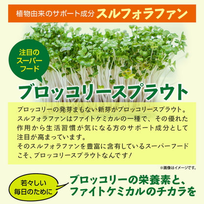 ブロッコリースプラウト 60粒