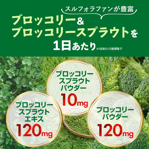 ブロッコリースプラウト 60粒