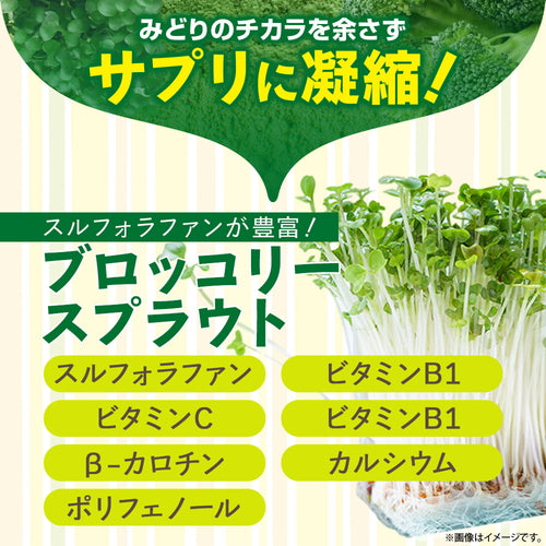 ブロッコリースプラウト 60粒