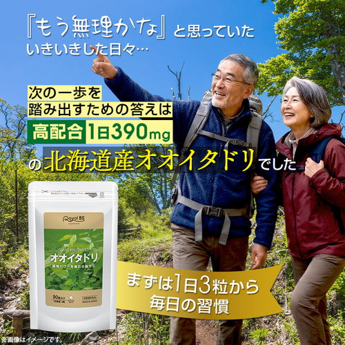 オオイタドリ 90粒
