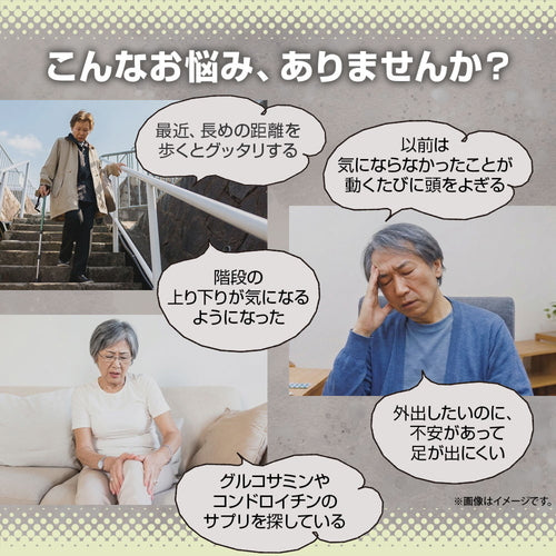 オオイタドリ 90粒