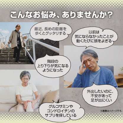 オオイタドリ 90粒