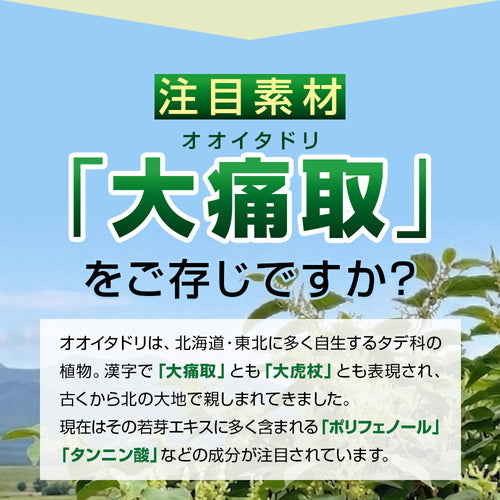 オオイタドリ 90粒