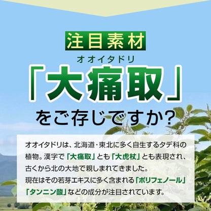 オオイタドリ 90粒