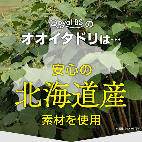 オオイタドリ 90粒