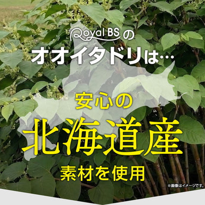 オオイタドリ 90粒