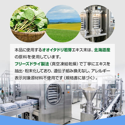 オオイタドリ 90粒
