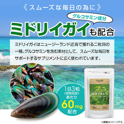 オオイタドリ 90粒