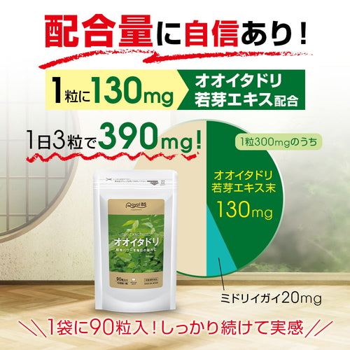 オオイタドリ 90粒