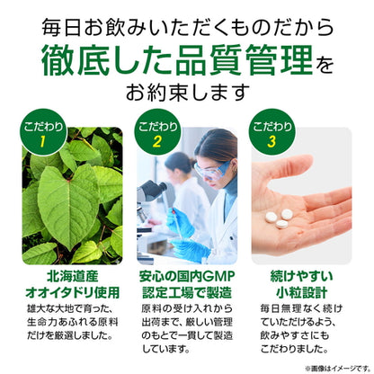 オオイタドリ 90粒