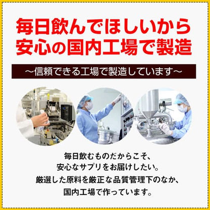 大肝神 だいかんじん 60粒　（#40）